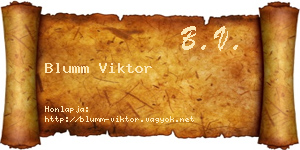 Blumm Viktor névjegykártya